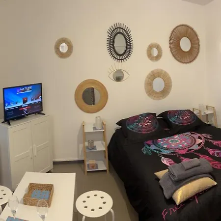 Apartamento Studio Villejuif 2min de Paris *